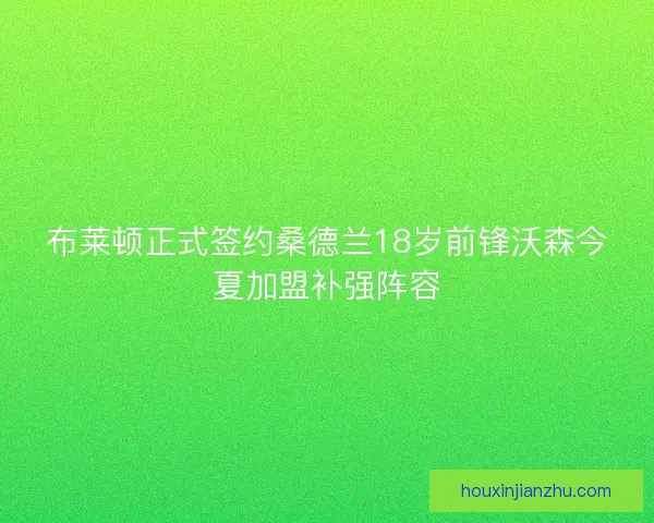 布莱顿正式签约桑德兰18岁前锋沃森今夏加盟补强阵容