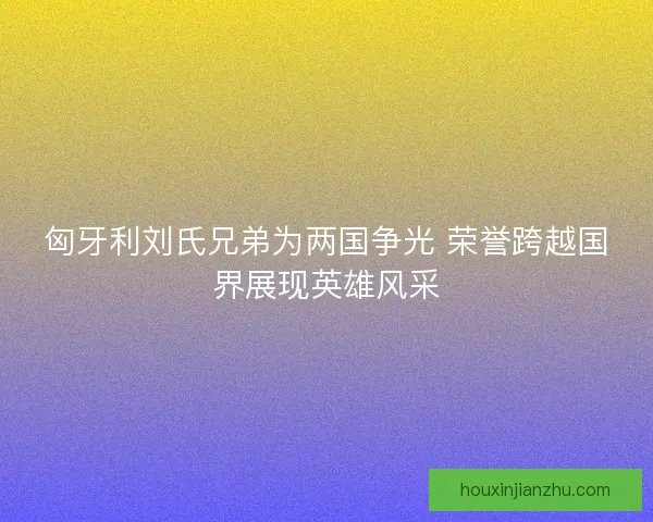匈牙利刘氏兄弟为两国争光 荣誉跨越国界展现英雄风采